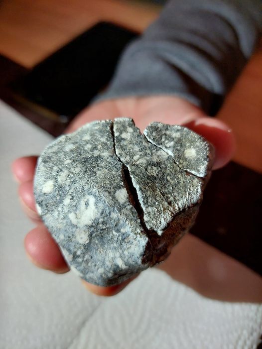 یافته های جدید از سیارکی کمیاب که به آلمان برخورد کرد