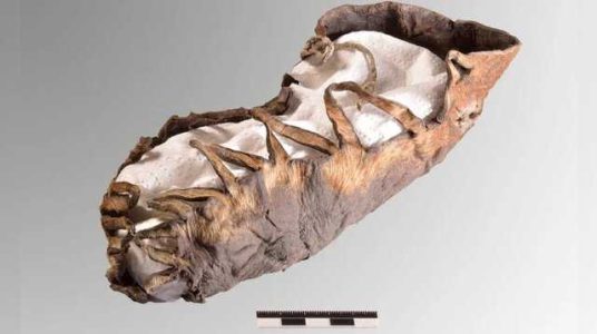 قدیمی ترین کفش های دنیا عکس