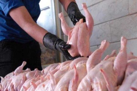عرضه روزانه 440 تن گوشت مرغ در میدان بهمن - خبرگزاری تیتروز | اخبار ایران و جهان