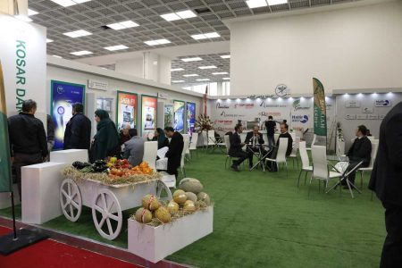 پاویون شرکت های دانش بنیان در نمایشگاه تخصصی کشاورزی شیراز بر پا می شود