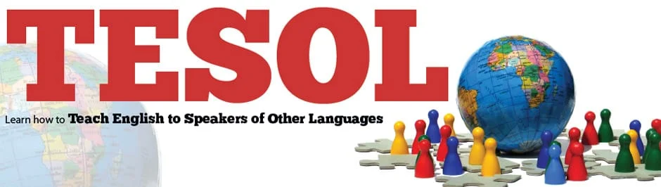 چرا تیسول برای معلمان زبان ضروری است؟