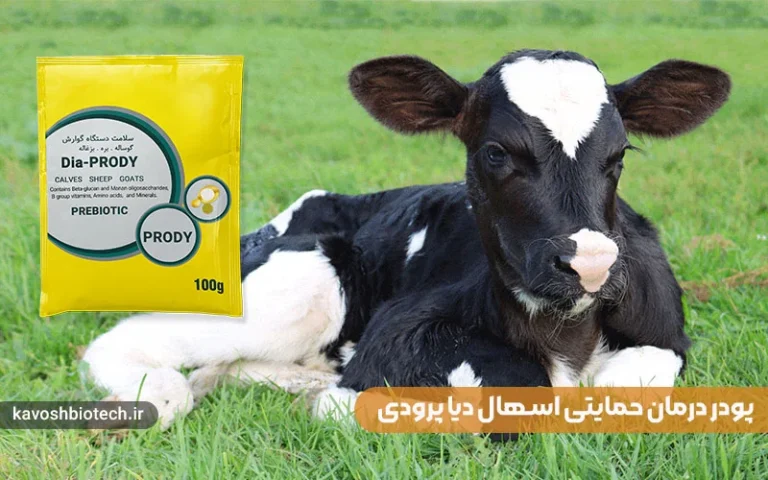 پودر درمان حمایتی اسهال Dia prody: راه  حلی موثر برای سلامت دستگاه گوارش دام
