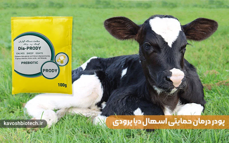 پودر درمان حمایتی اسهال Dia prody: راه حلی موثر برای سلامت دستگاه گوارش دام