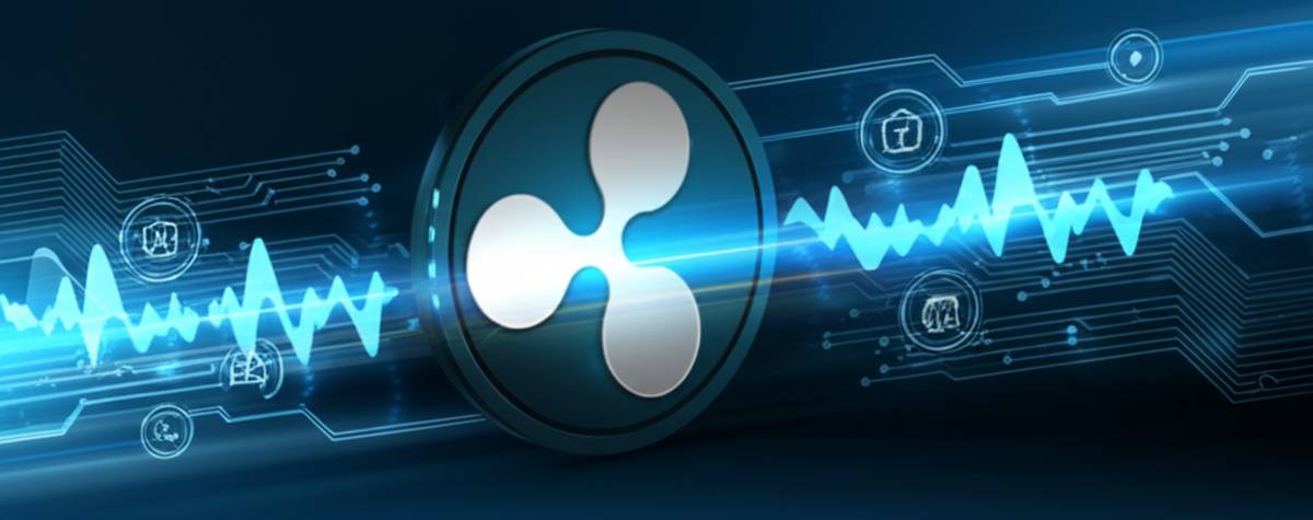 بهترین کیف پول ریپل ۲۰۲۴ | معرفی امن ترین ولت های XRP