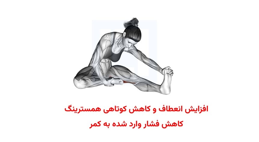 15 ورزش خانگی برای کمر درد ناشی از پشت میزنشینی که همین حالا می توانید